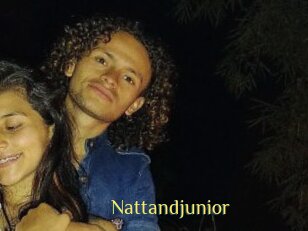 Nattandjunior