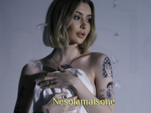 Nesolamaisone