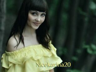 Nicekarina20
