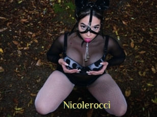 nicolerocci Brutal Spankings