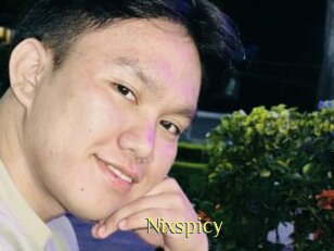 Nixspicy