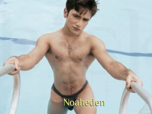 Noaheden