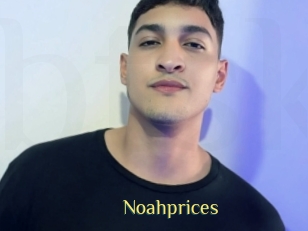 Noahprices