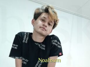 Noahsam