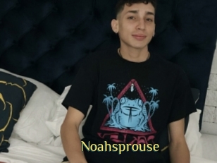 Noahsprouse