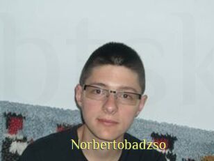 Norbertobadzso