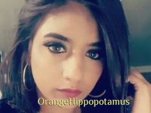 OrangeHippopotamus