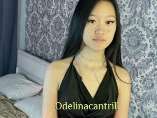 Odelinacantrill