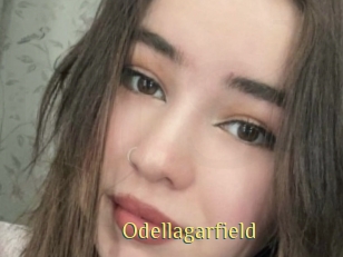 Odellagarfield