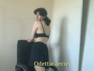 Odettacaecus