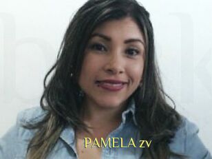 PAMELA_zv