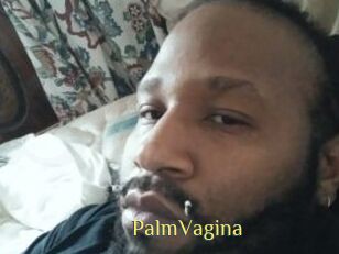 PalmVagina