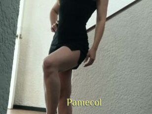 Pamecol