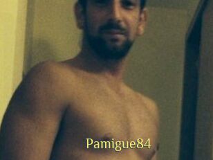 Pamigue84