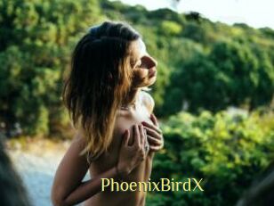 PhoenixBirdX