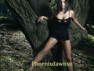 Phoenixdawnxo