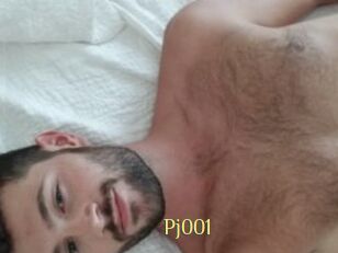 Pj001