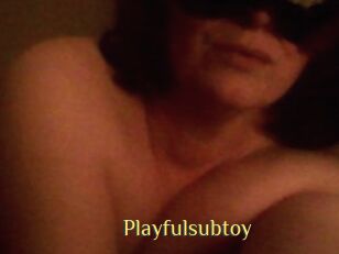 Playfulsubtoy