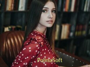 PolinaSoft