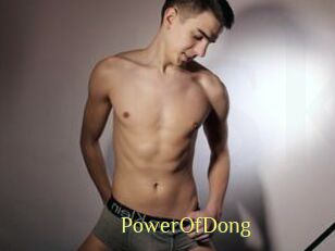 PowerOfDong