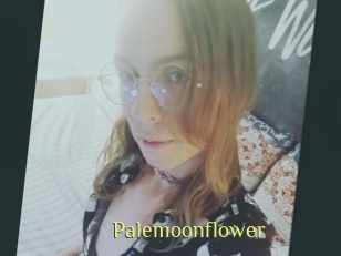 Palemoonflower