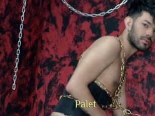 Palet