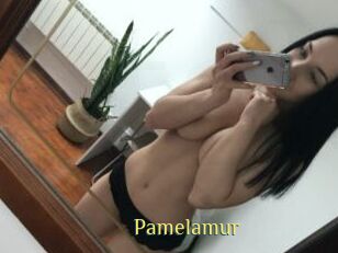 Pamelamur
