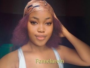 Pamelarein
