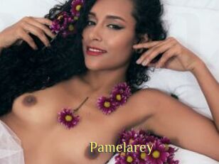 Pamelarey