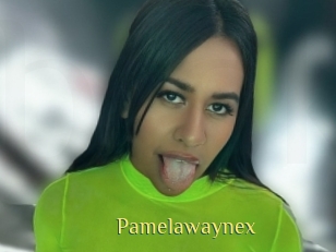 Pamelawaynex