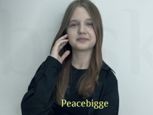 Peacebigge