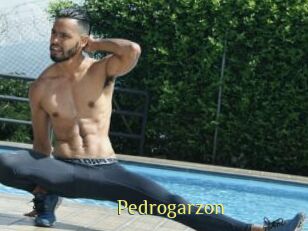 Pedrogarzon