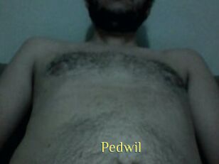 Pedwil