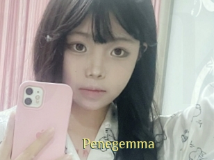 Penegemma