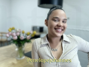 Penelopejohannes