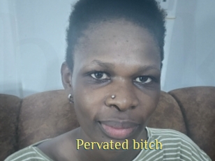 pervated_bitch Brutal Spankings