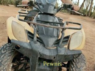 Pewnis