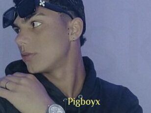 Pigboyx