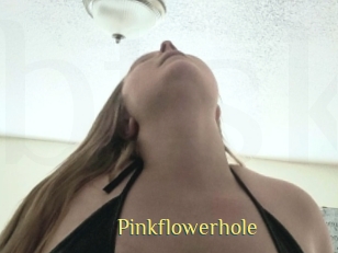 Pinkflowerhole