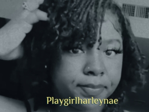 Playgirlharleynae