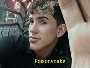 Poisonsnake