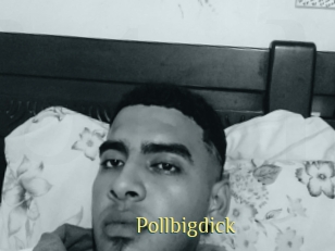 Pollbigdick