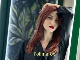 Pollinafox