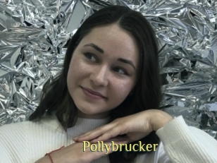 Pollybrucker