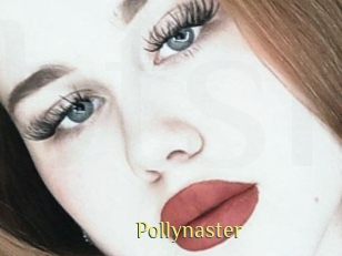 Pollynaster