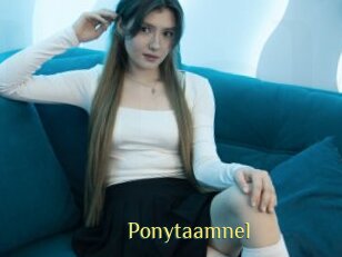 Ponytaamnel