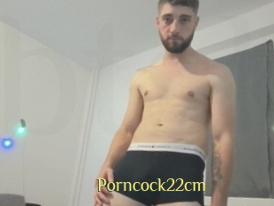 Porncock22cm