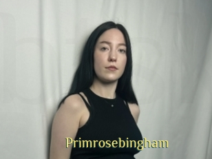 Primrosebingham