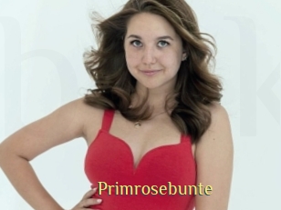 Primrosebunte