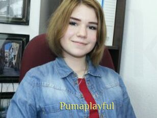Pumaplayful